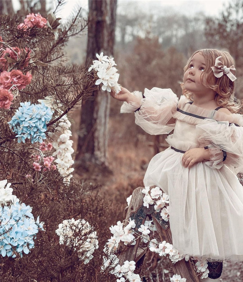 Tulle Puff Sleeve Dress